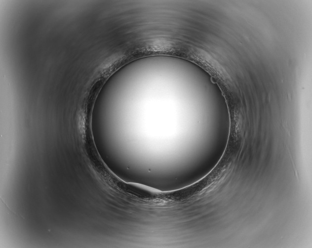 X0000093600542200710151223