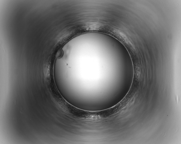 X0000093600543200710151223