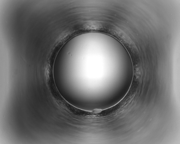 X0000093600544200710151223