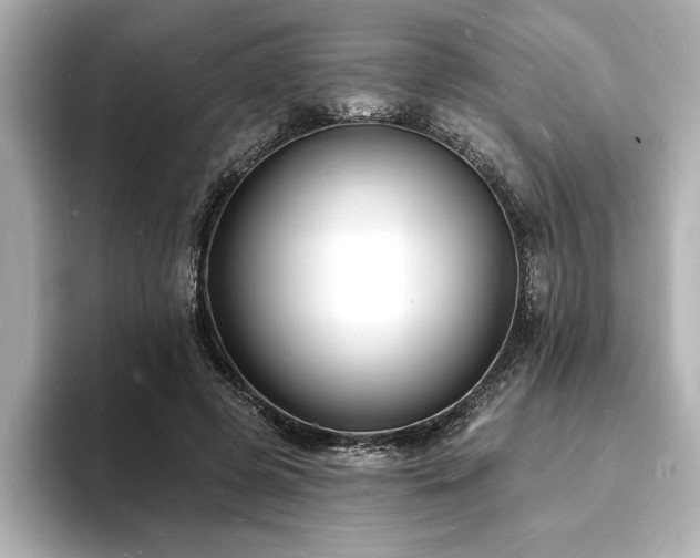 X0000093600545200710151223