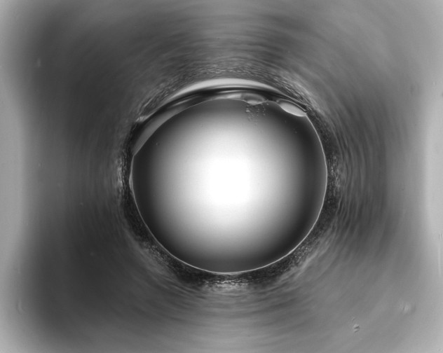 X0000093600546200710151223