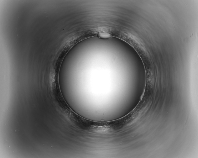 X0000093600548200710151223
