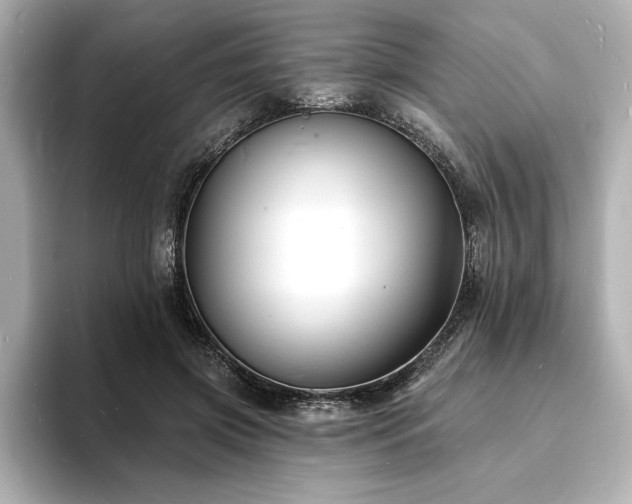 X0000093600549200710151223