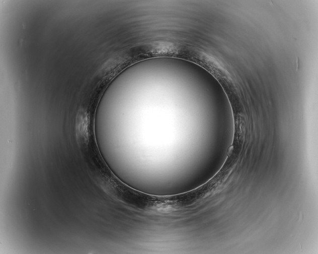 X0000093600550200710151223