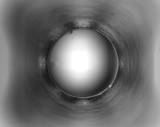 X0000093600551200710151223