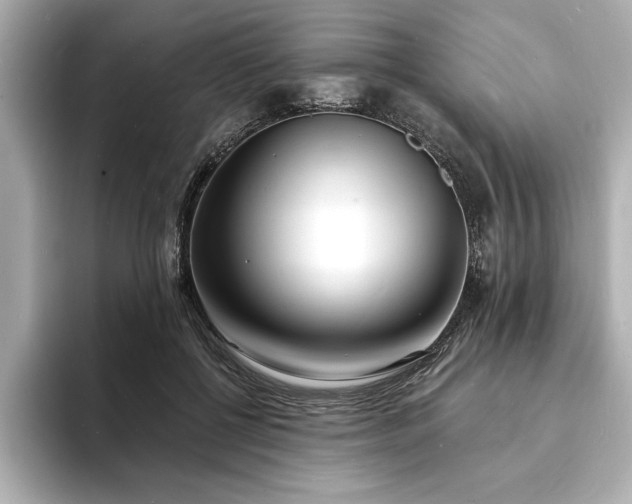 X0000093600552200710151223