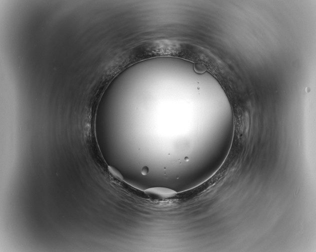X0000093600553200710151223