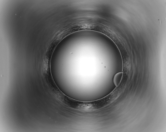X0000093600554200710151223