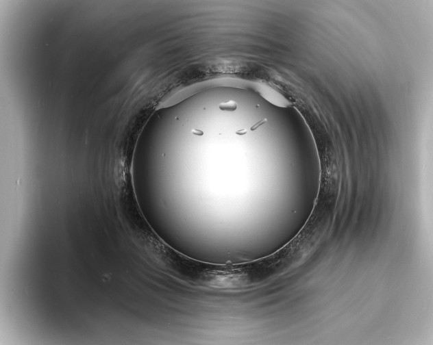 X0000093600555200710151223