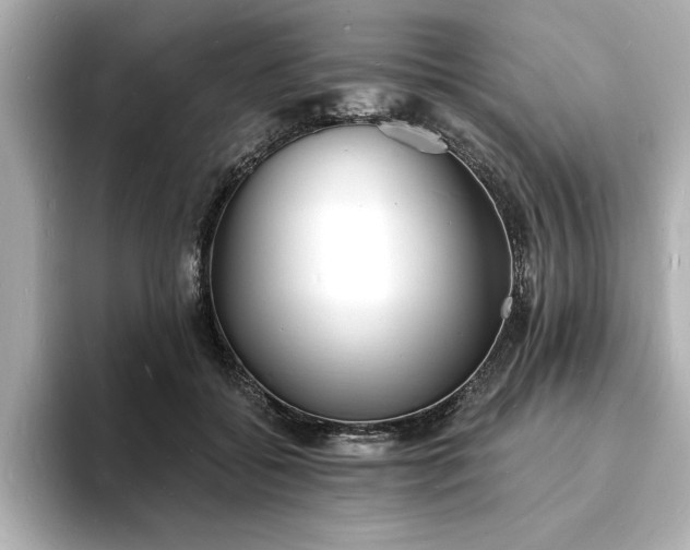 X0000093600556200710151223