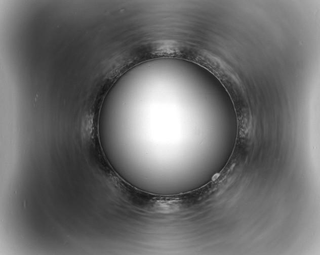 X0000093600560200710151223