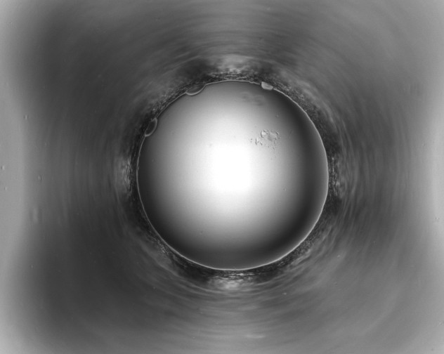X0000093600563200710151223