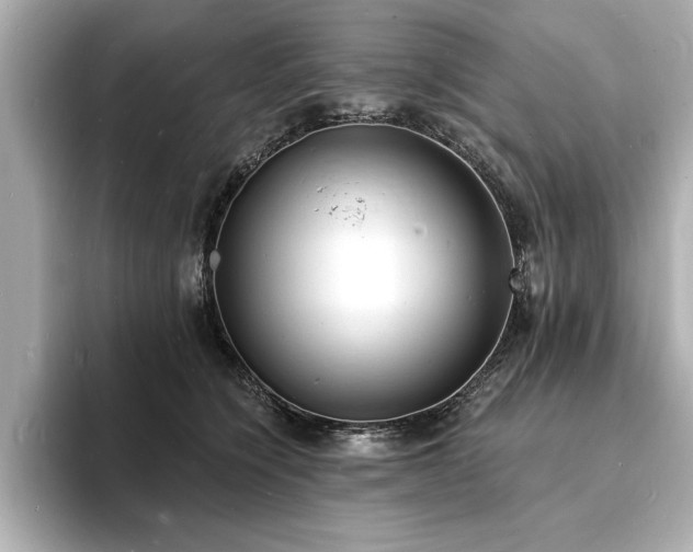 X0000093600564200710151223