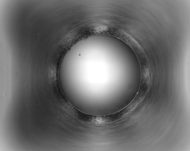X0000093600565200710151223