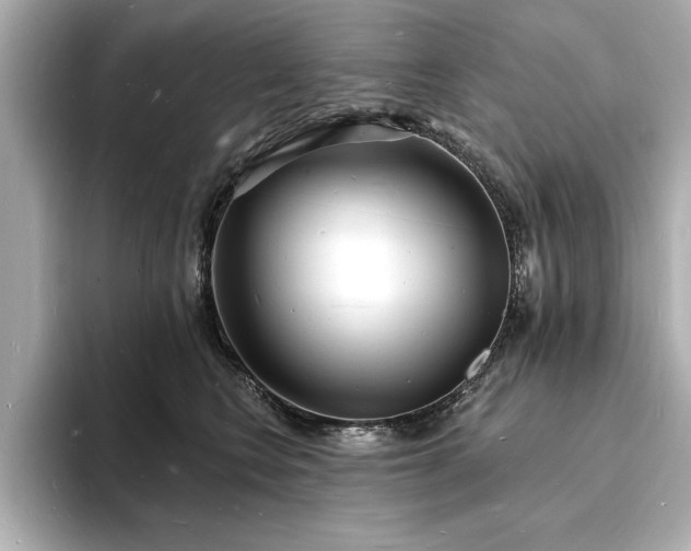 X0000093600566200710151223