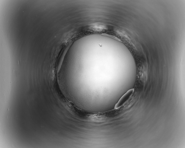 X0000093600568200710151223
