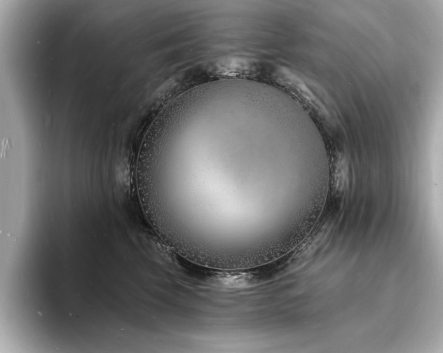 X0000093600569200710151223
