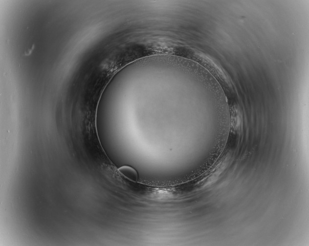 X0000093600573200710151223