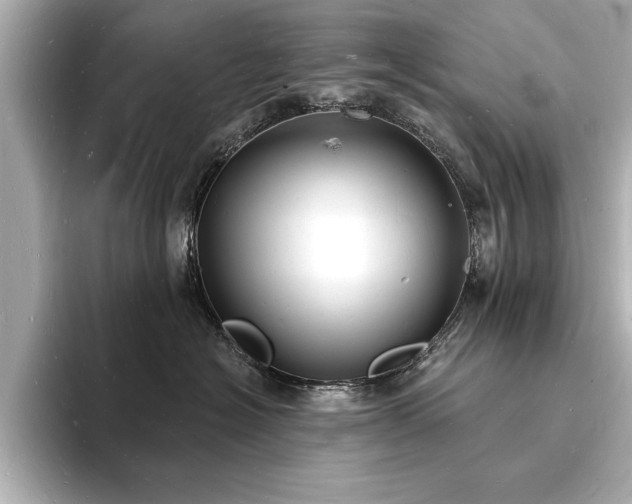 X0000093600574200710151223