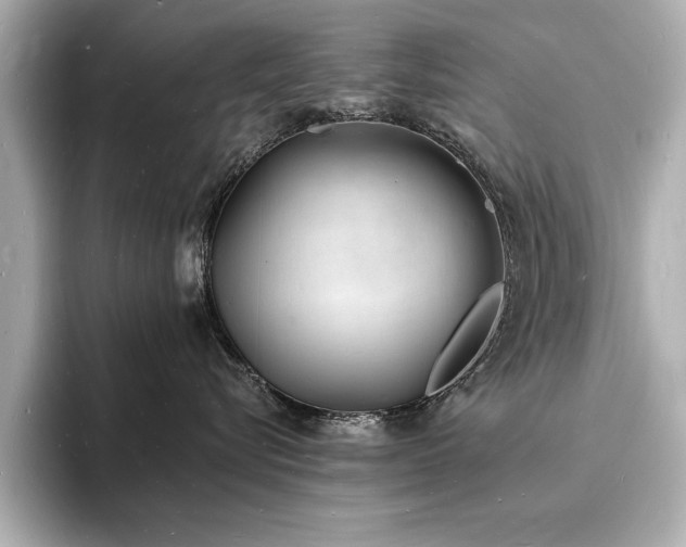 X0000093600576200710151223