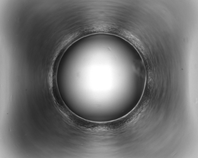 X0000093600578200710151222