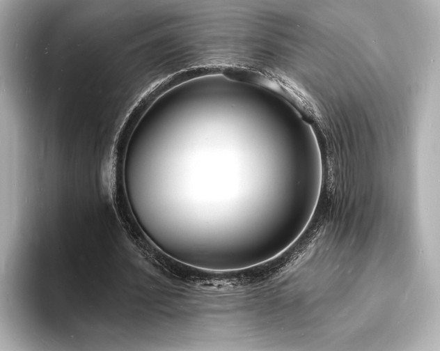 X0000093600580200710151222