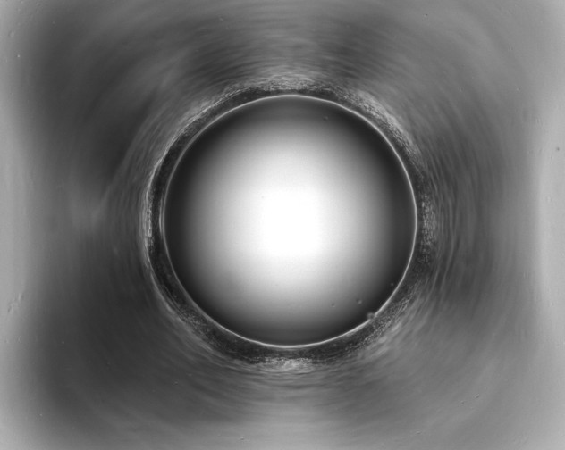 X0000093600582200710151222