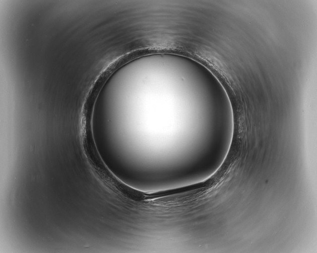 X0000093600584200710151222