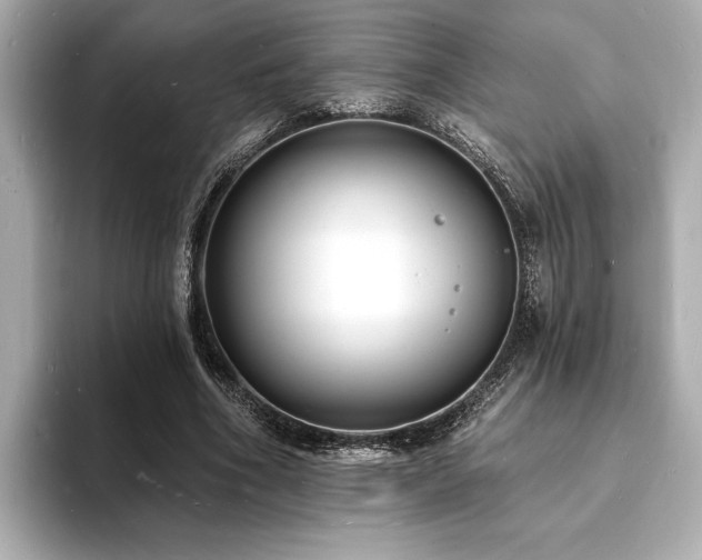 X0000093600586200710151222