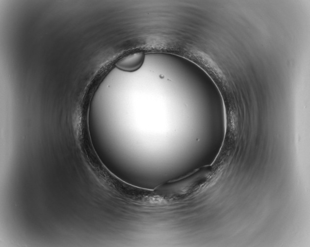 X0000093600588200710151222