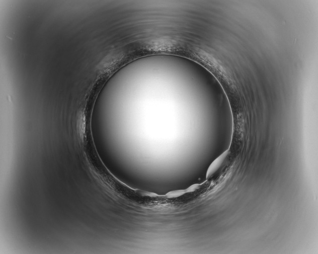 X0000093600589200710151222