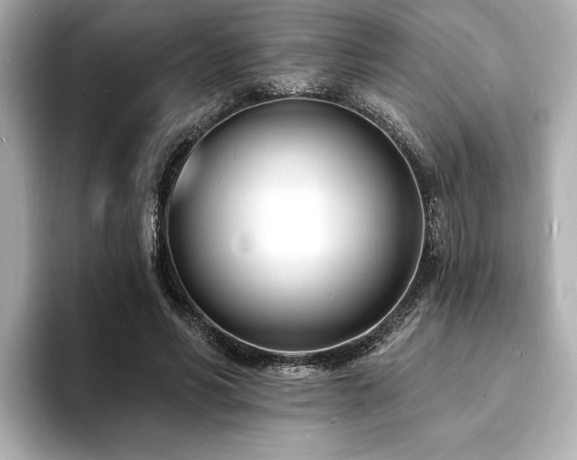 X0000093600590200710151222