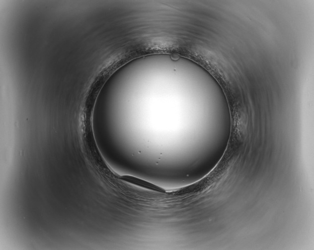 X0000093600591200710151222