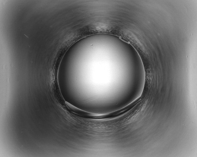 X0000093600593200710151222