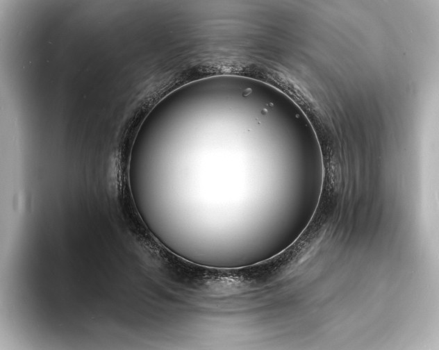 X0000093600594200710151222
