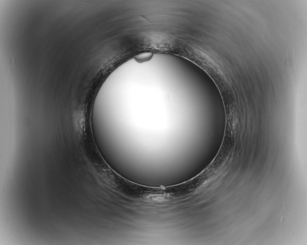 X0000093600595200710151222