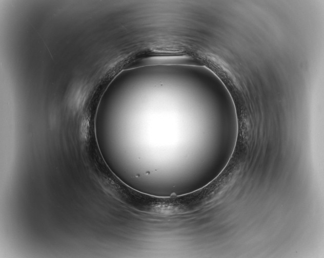 X0000093600596200710151222