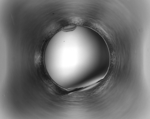 X0000093600597200710151222