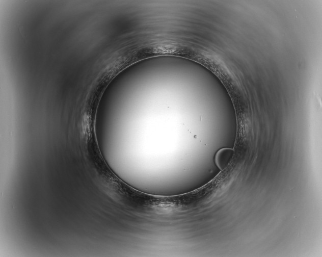 X0000093600598200710151222
