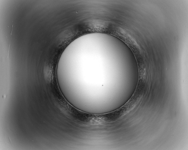 X0000093600599200710151222
