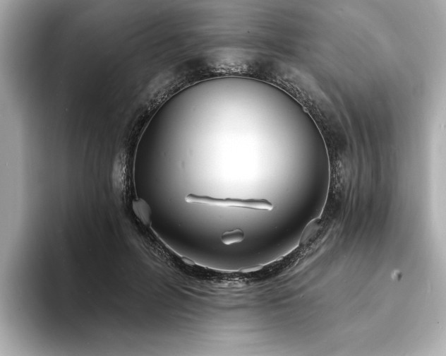 X0000093600600200710151222
