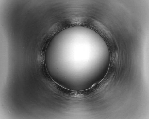 X0000093600601200710151222