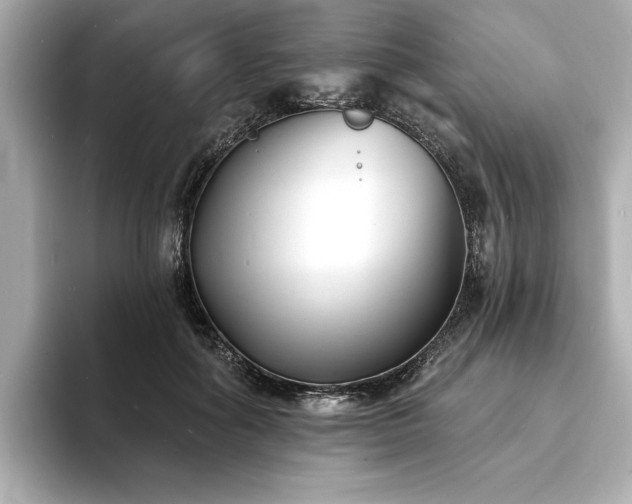 X0000093600602200710151222