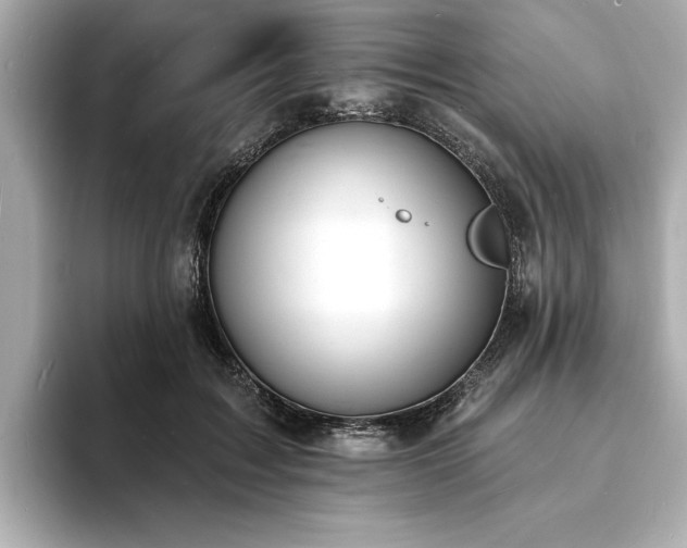 X0000093600603200710151222