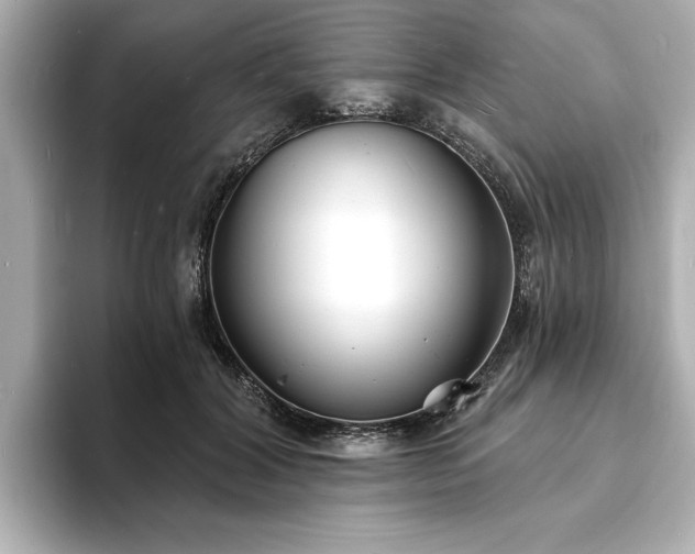 X0000093600604200710151222