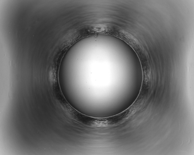 X0000093600606200710151222