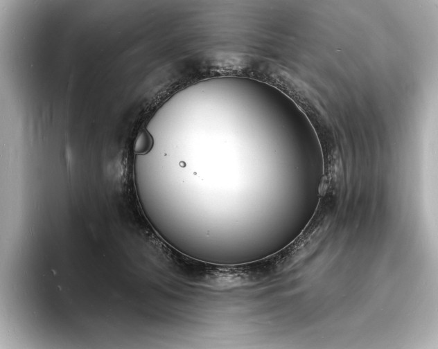 X0000093600608200710151222