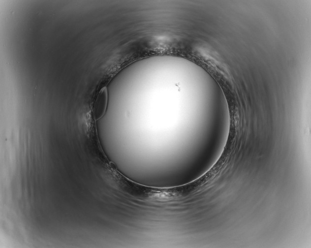 X0000093600611200710151222