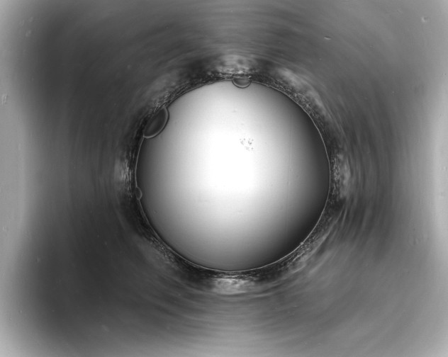 X0000093600614200710151222