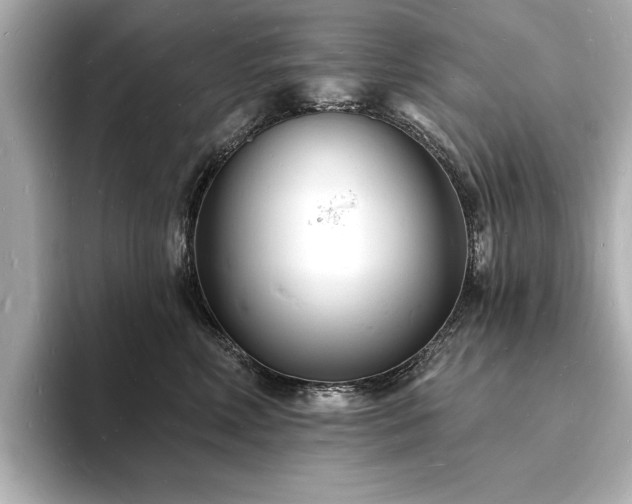 X0000093600618200710151222